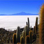 El Mundo verde Travel