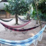 El Mundo verde Travel