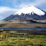 El Mundo verde Travel