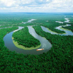 El Mundo Verde Travel