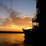 El Mundo Verde Travel