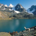 El Mundo Verde Travel