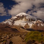 El Mundo verde Travel